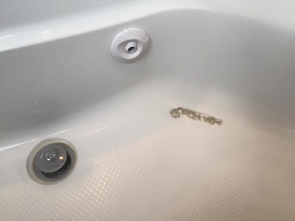 Chip Repair — before