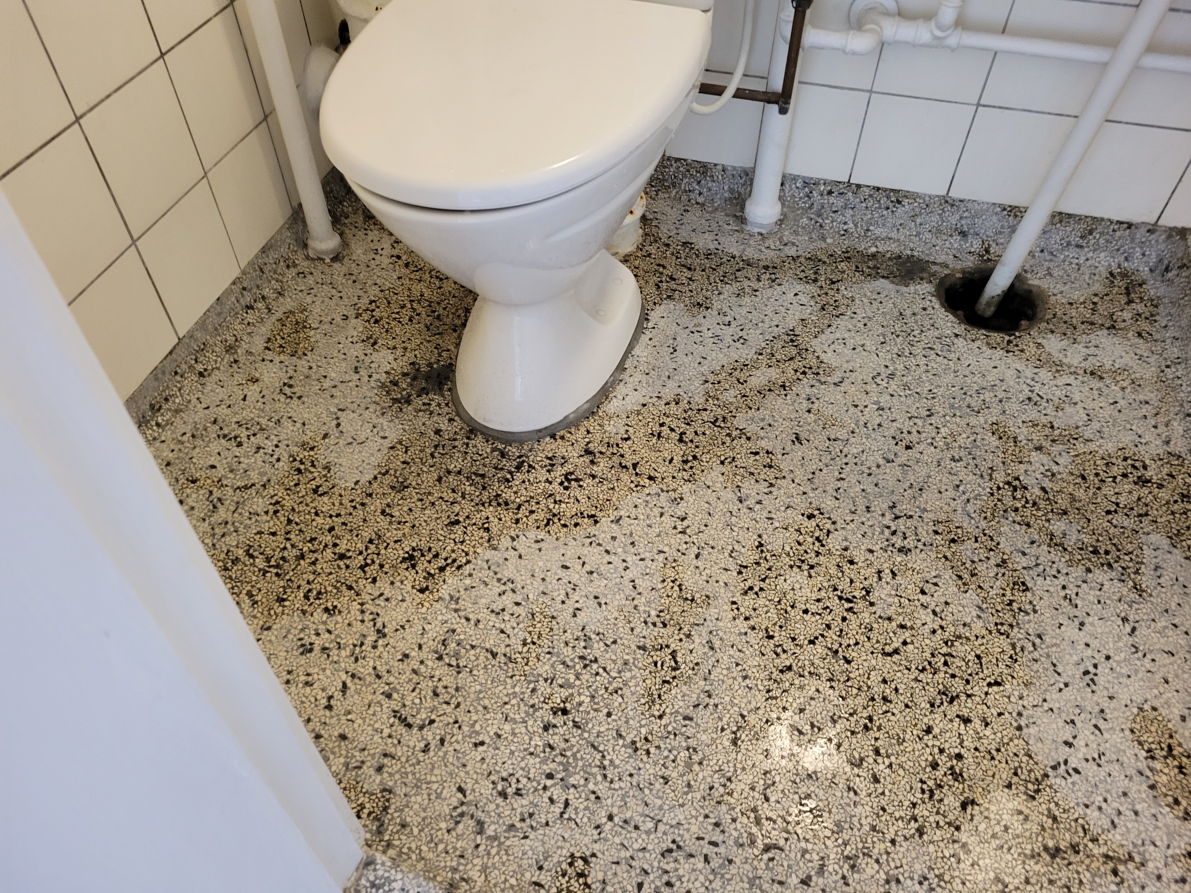 Floor Detailing & Maintenance project 1