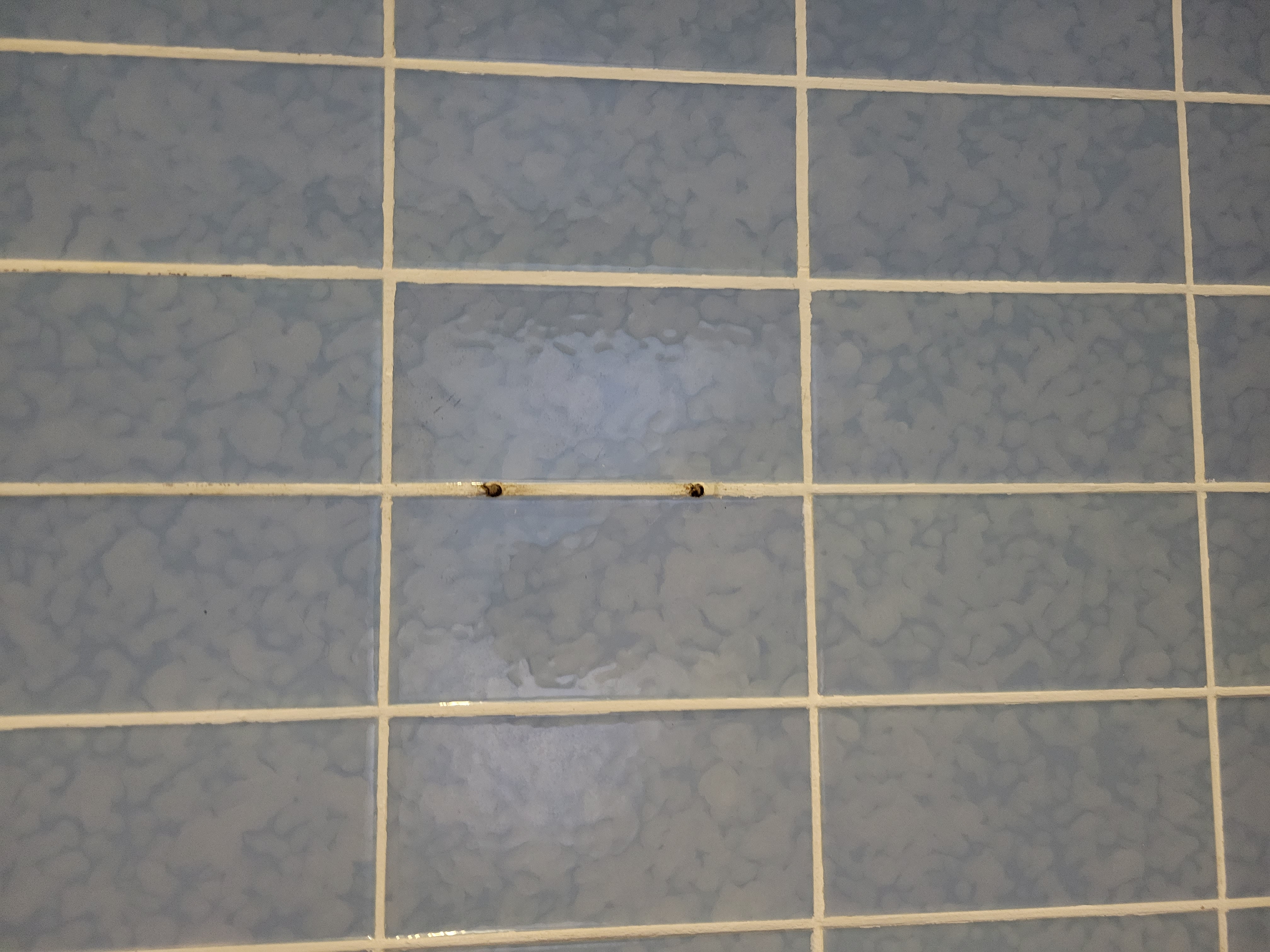 Heavy-Duty Grout & Tile Waterproofing project 1