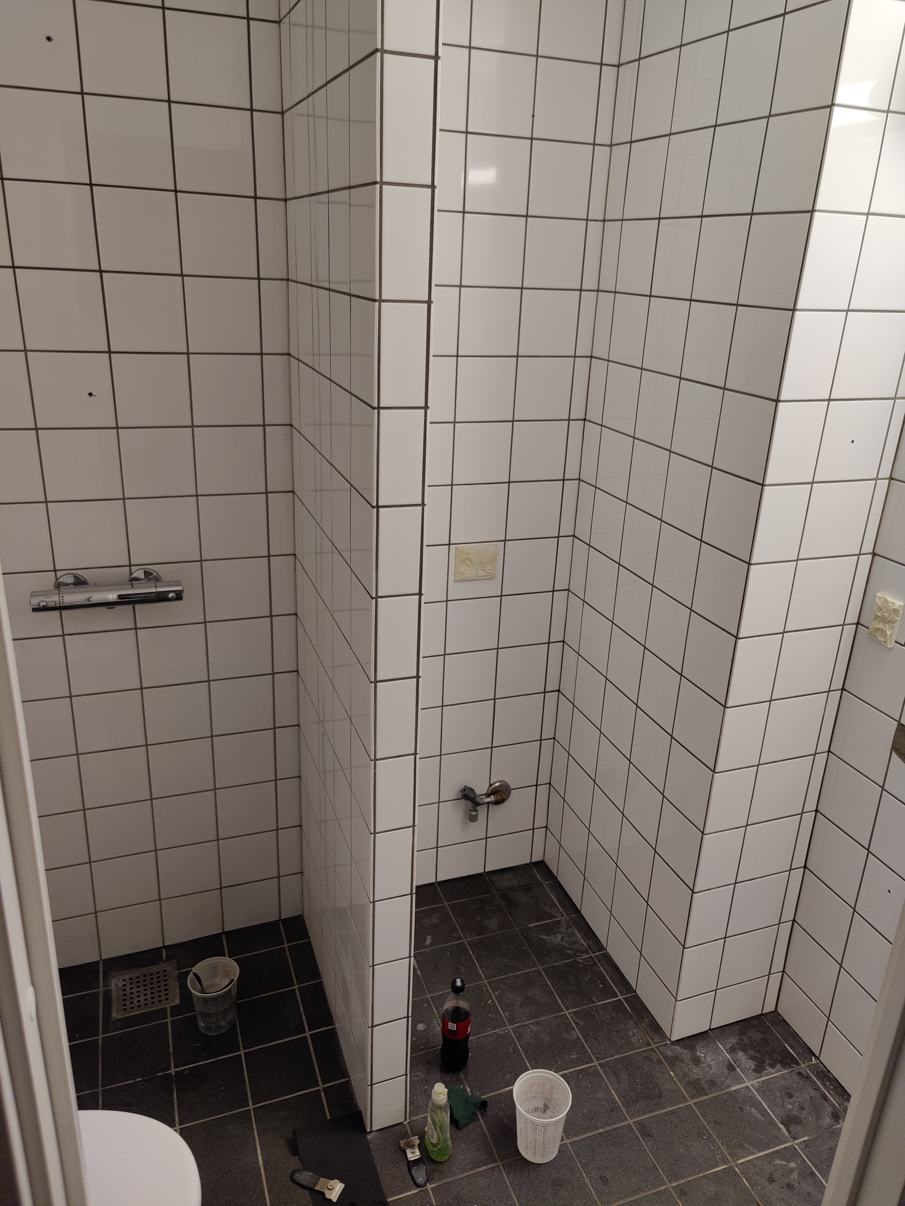 Heavy-Duty Grout & Tile Waterproofing project 3